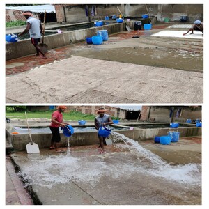 Handmade rug production in Bhadohi